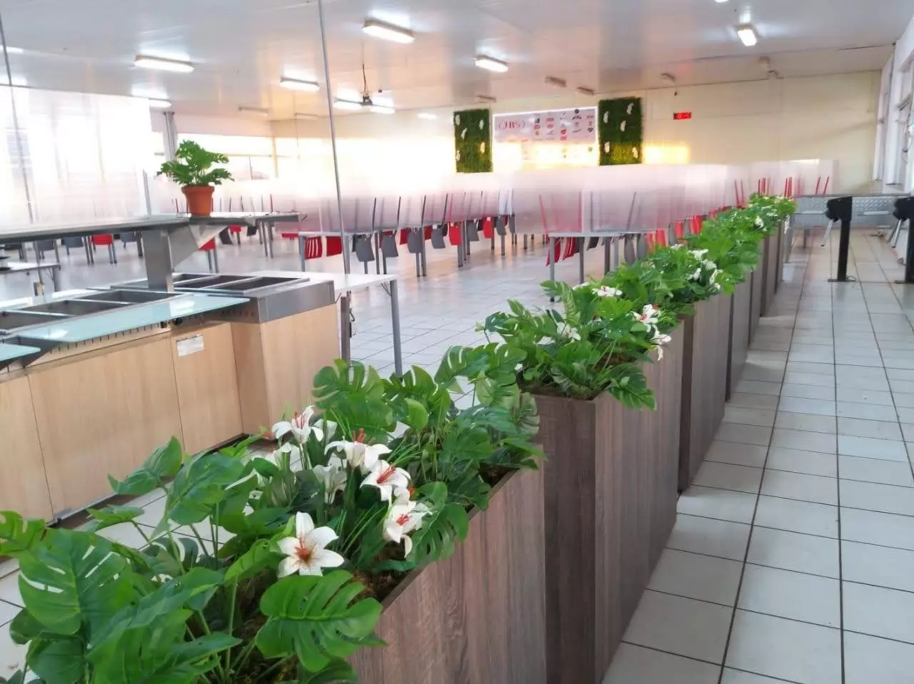 dba34d60-5c3c-4dce-8a64-417189d9d3fe