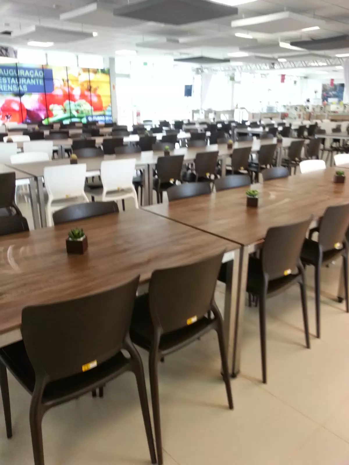 Imagem do WhatsApp de 2024-01-18 à(s) 11.29.43_ce50cfa4